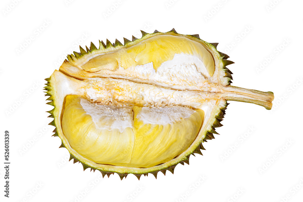 Obraz premium cut open Durian tropical fruit on white background
