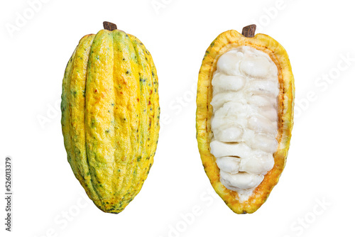 ripe cacao fruit isolated on white background