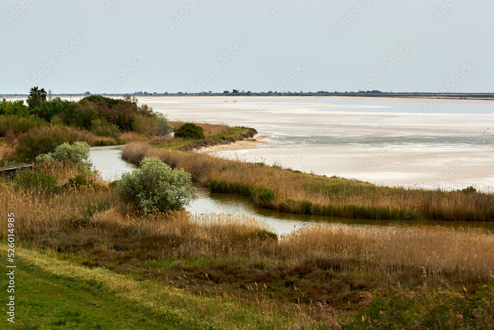 The salt flats of Aigues-Mortes in the Camargue, France The salt flats of Aigues-Mortes in the Camargue, France