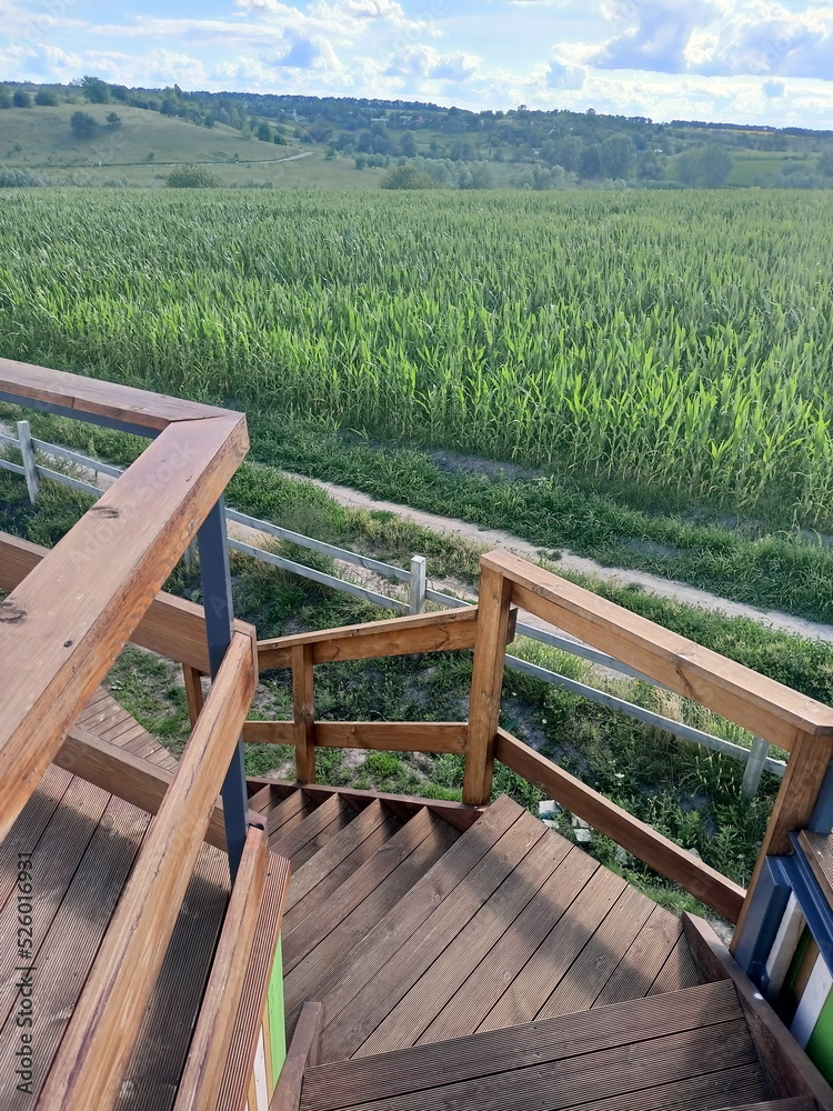 Descent from the observation deck on wooden stairs after a long period of contemplation and admiring the beauty of the Ukrainian steppes. Descent from the observation deck on wooden stairs after a long period of contemplation and admiring the beauty of the Ukrainian steppes.