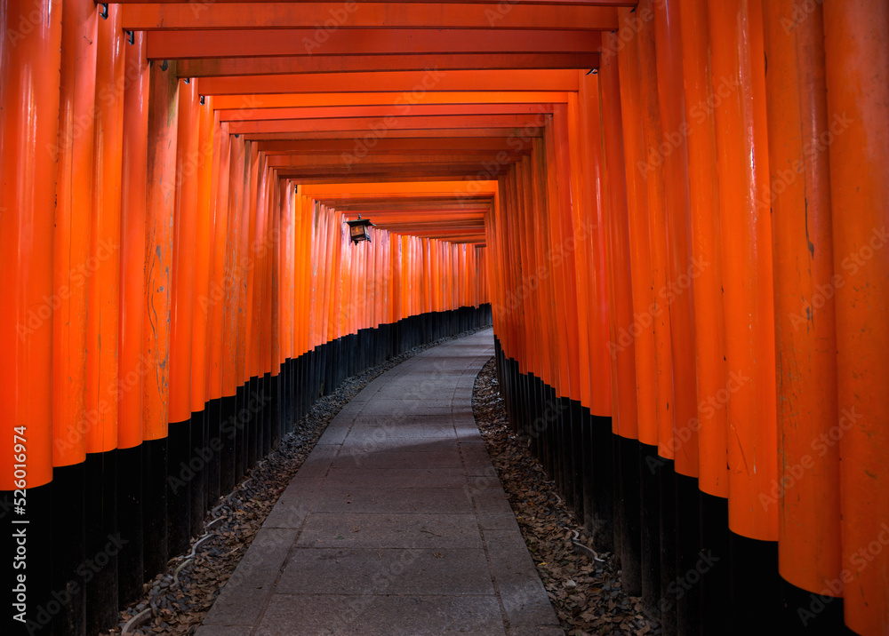 Fototapeta premium japanese shrine
