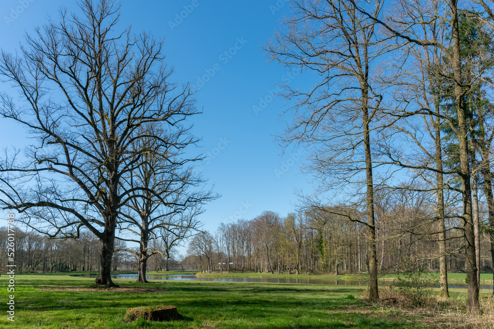Trees along the large pond on Landgoed Enghuizen (Estate Enghuizen), Hummelo, The Netherlands Trees along the large pond on Landgoed Enghuizen (Estate Enghuizen), Hummelo, The Netherlands