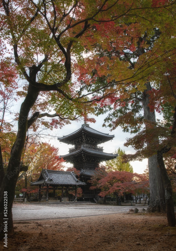 Fototapeta premium Japanese temples are very beautiful in autumn