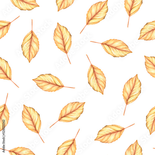 Autumn leaf seamless pattern. Watercolor vintage illustration. Isolated on a white background.