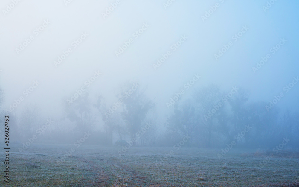 Morning autumn landscape. Fog over the frost-covered plain. A car in the fog among the trees. Morning autumn landscape. Fog over the frost-covered plain. A car in the fog among the trees.