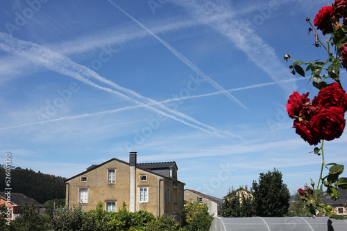 chemtrails and roses in a blue sky