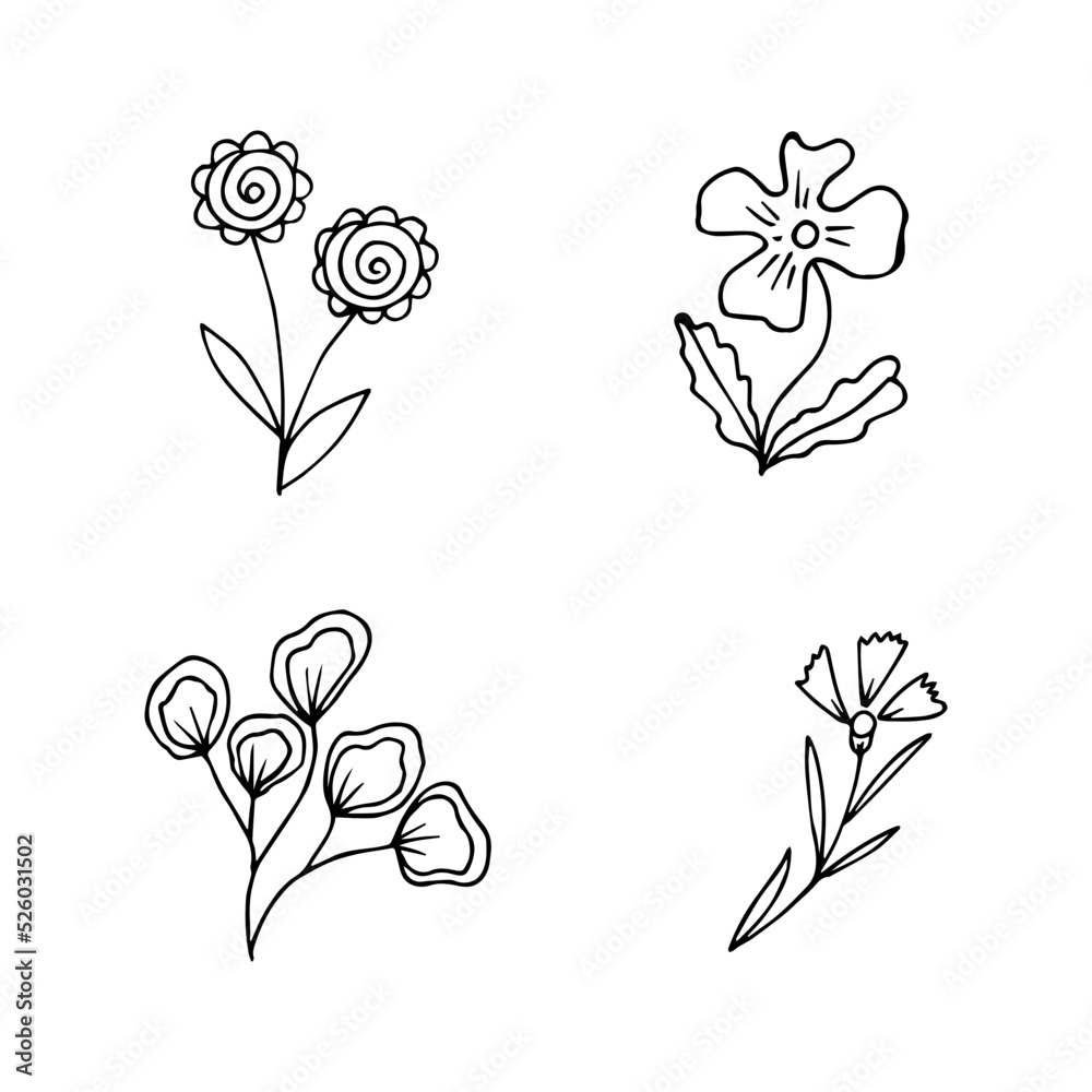 collection of hand drawn botanical floral elements for floral design concept