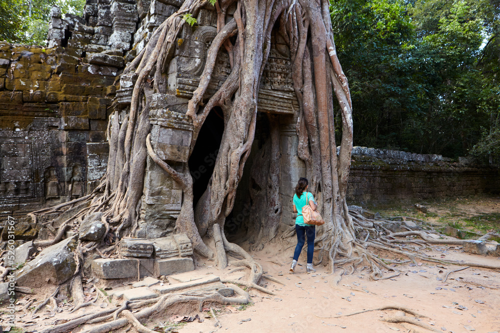 Distinctive strangler fig at Ta Som temple, Angkor, Siem Reap, Cambodia Distinctive strangler fig at Ta Som temple, Angkor, Siem Reap, Cambodia
