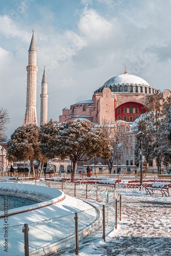 Canvas Print Vertical shot of a mosque during winter in Istanbul, Turkey
