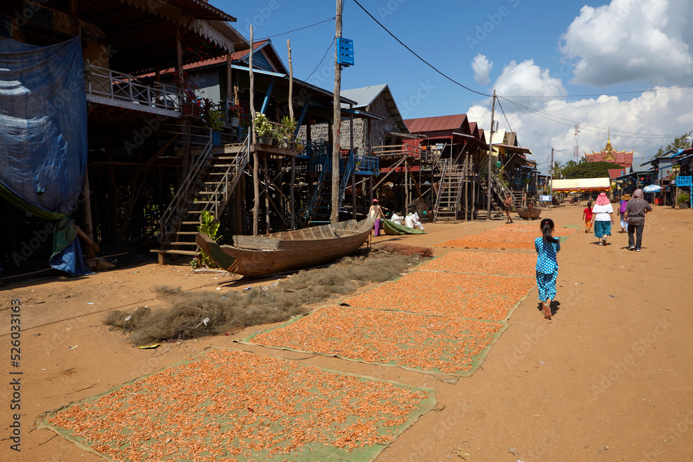 Dry shrimps at the floating village of Kompong Phluk, Siem Reap, Cambodia Dry shrimps at the floating village of Kompong Phluk, Siem Reap, Cambodia