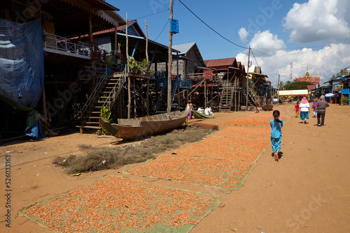 Dry shrimps at the floating village of Kompong Phluk, Siem Reap, Cambodia