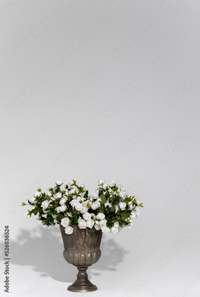 close-up shot of vase of white roses on white background