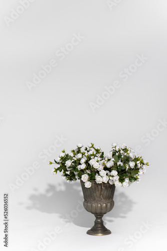 Fototapeta Naklejka Na Ścianę i Meble -  close-up shot of vase of white roses on white background
