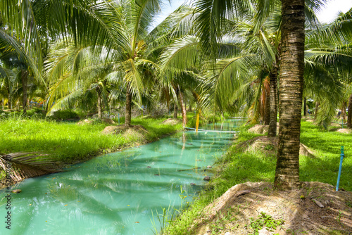 Coconut trees and blue water beauty nature 
