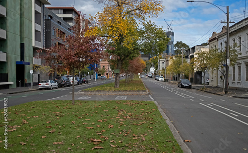 Melbourne Street in Autumn © ernest