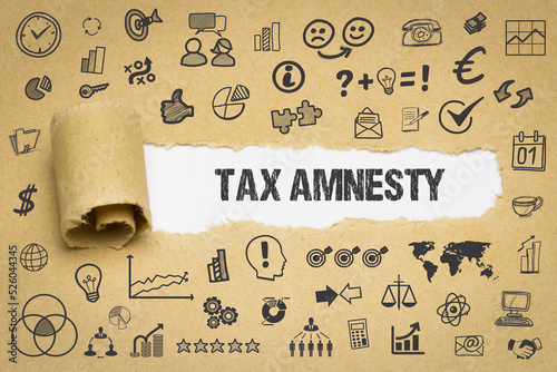 Obraz na plátně Tax amnesty