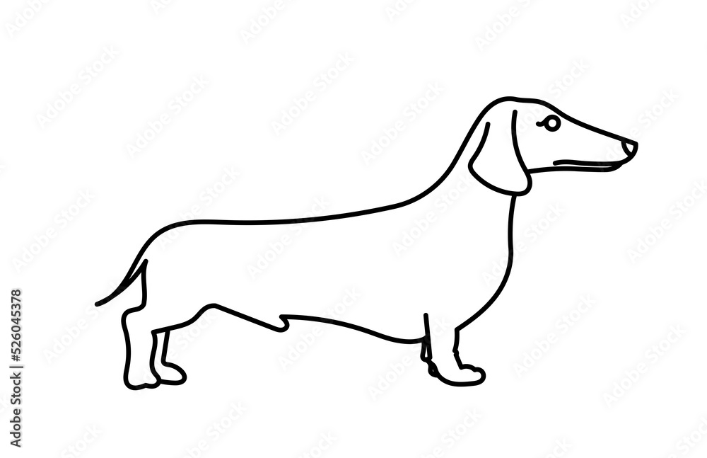 Dachshund dog breed. Vector contour illustration.