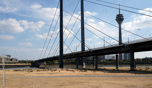 Bild auf Leinwand Climate change - dry riverbed during a severe drought in Düsseldorf, Germany
