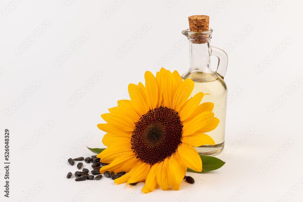 Sunflower oil in glass jug, seeds and flower isolated on white background Sunflower oil in glass jug, seeds and flower isolated on white background