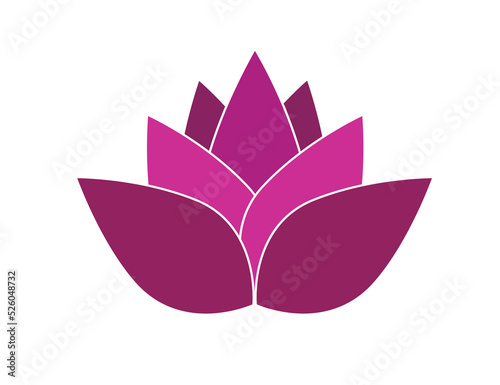 Vector icon - pitahaya (fruit). Nature