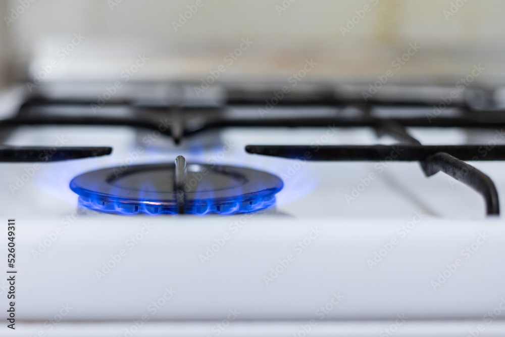 Closeup shot of blue fire from domestic kitchen stove top. Gas cooker with burning flames of propane gas. Industrial resources and economy concept. Closeup shot of blue fire from domestic kitchen stove top. Gas cooker with burning flames of propane gas. Industrial resources and economy concept.