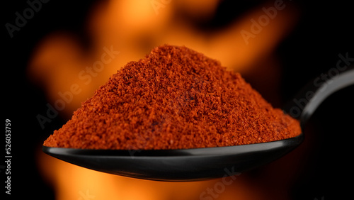 Fototapeta Naklejka Na Ścianę i Meble -  Smoked paprika spice in spoon, over open fire