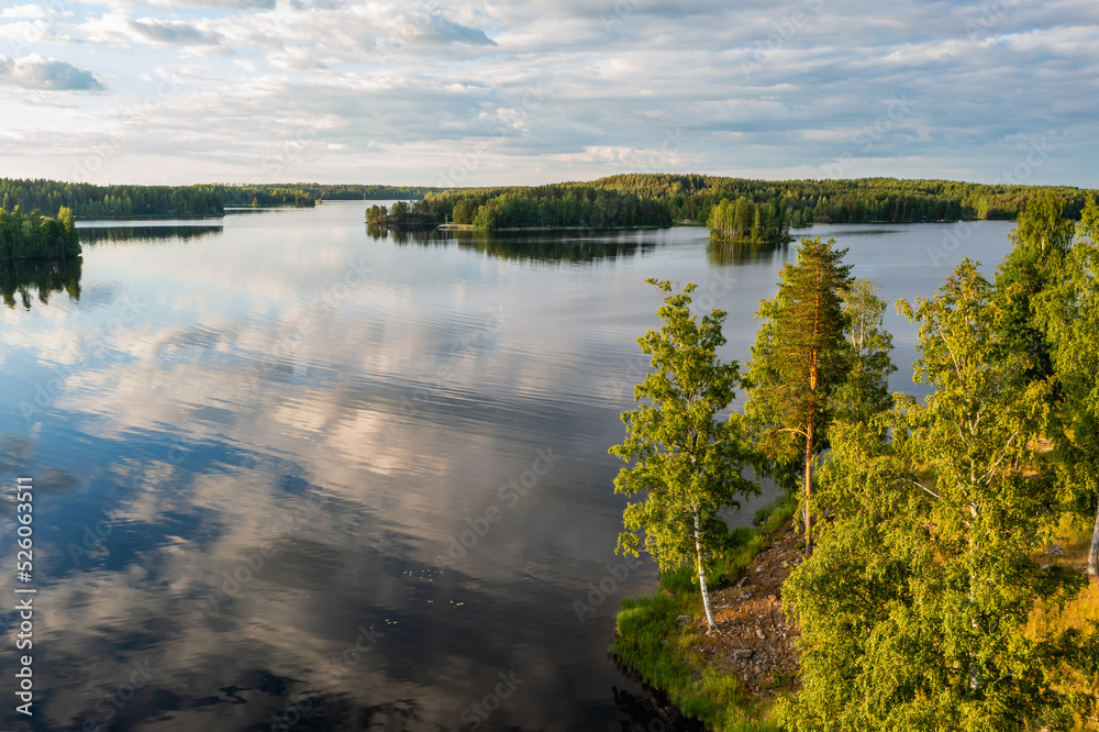 lake in the forest