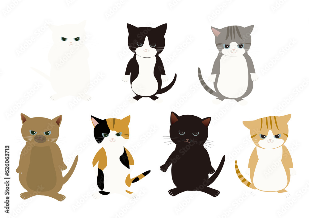 生意気な顔をした七匹の子猫　背景透明png
