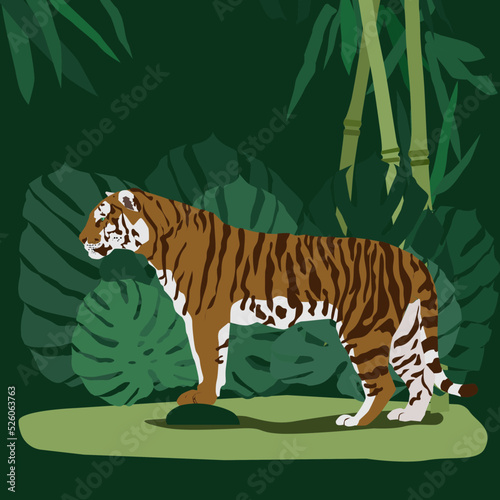 Striped Asian tiger among bamboo thickets and monstera leaves. Vector illustration on a colored background. Flat design.