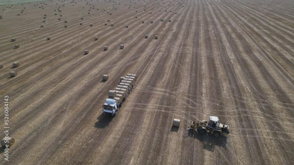 Agricultural tractor pick wheat straw before loading on truck. Aerial view, 4k Agricultural tractor pick wheat straw before loading on truck. Aerial view, 4k