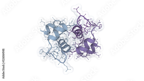 3D structure of a synthetic human insulin analogue.