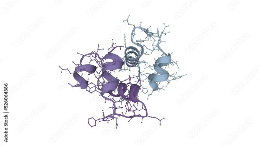 Semisynthetic highly active analogue of human insulin. 3D rendering as