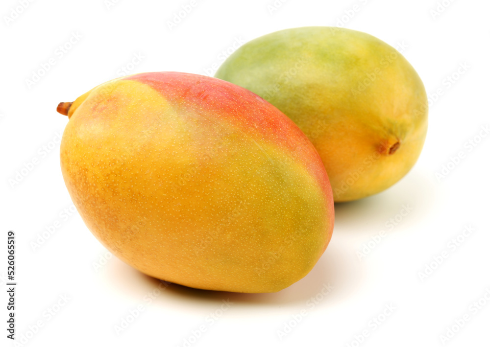 mangos on a white background mangos on a white background