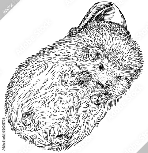 Vintage engrave isolated christmas hedgehog set illustration santa costume cut ink sketch. Wild pet background line new year hat hedge vector art