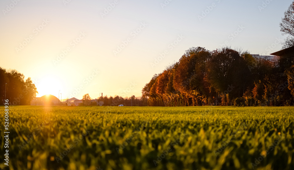 Obraz premium sunset over the field in Erding