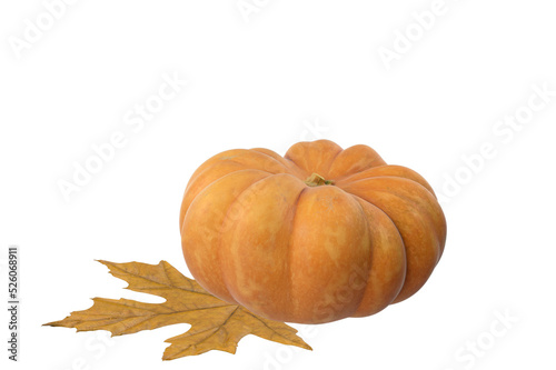 Autumn pumpkin
