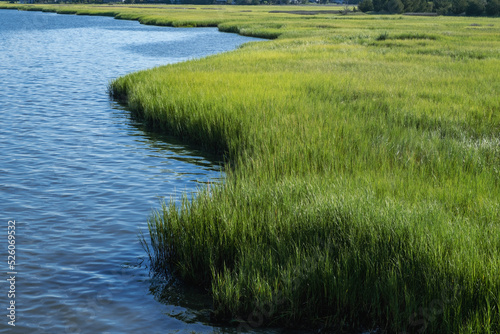 Marshgrass Along a Waterway Near the Ocean