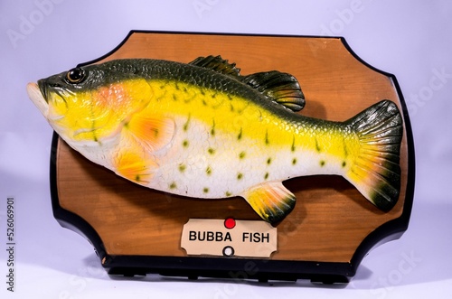 Photography Wooden Bass Fish Trophy , digital photo image