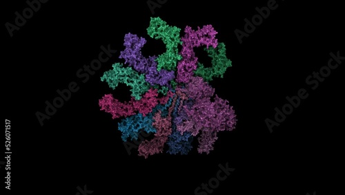3D molecular structure of immunoglobulin M (IgM) antibody. photo