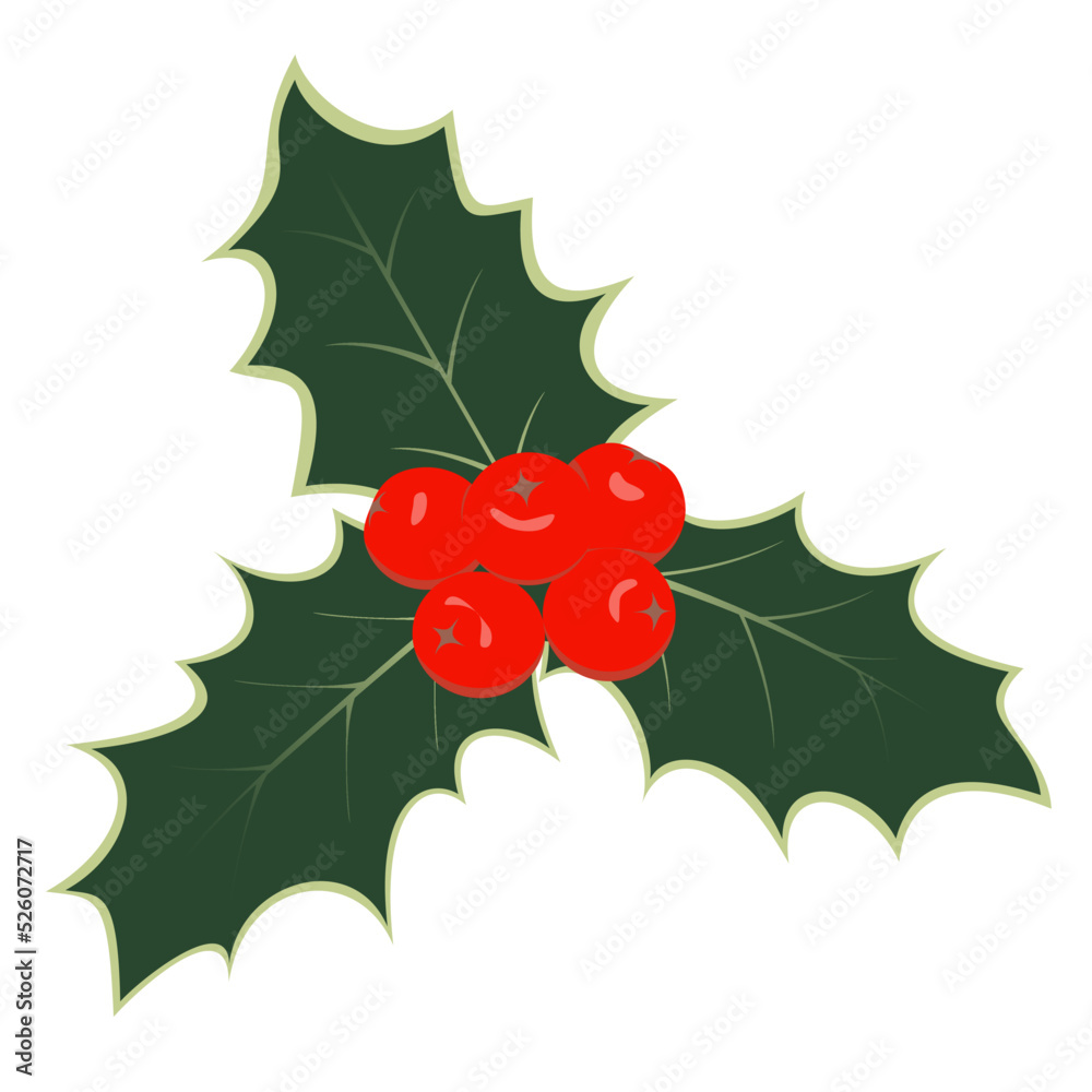 Christmas holly with leaves and berries in vector illustration Christmas holly with leaves and berries in vector illustration