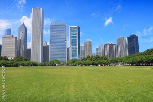 Chicago Grant Park skyline