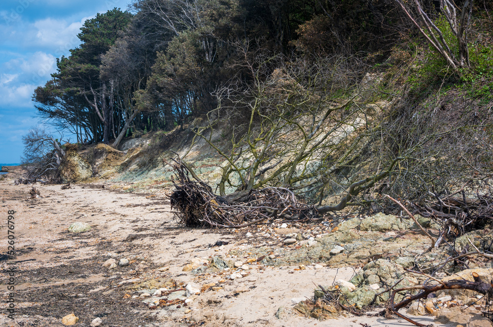 Beach erosion near Fort Victoria, Isle of Wight