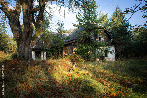 Photography Abandoned and defunct house in the middle of forests.