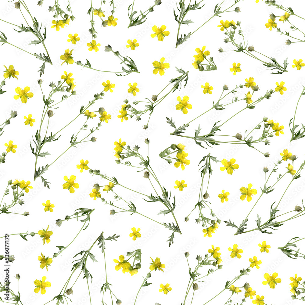 Seamless pattern with dried and pressed wildflowers. Herbariumseamless pattern with flowers