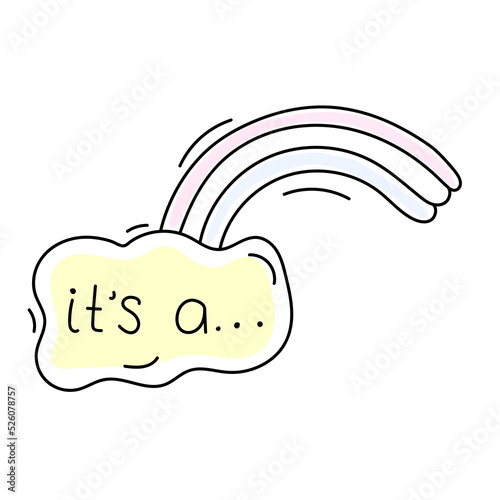 baby gender reveal party