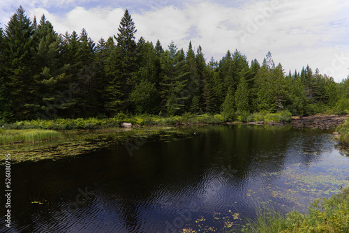 Glimpse of La Mauricie National Park, Quebec