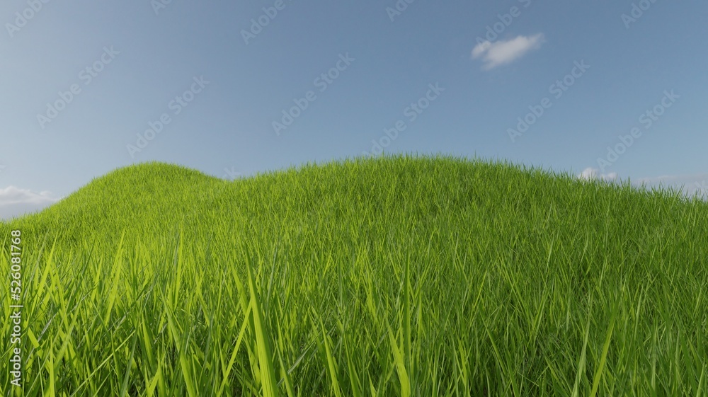 Beautiful view hills and green grass over blue sky nature scene 3D rendering wallpaper backgrounds