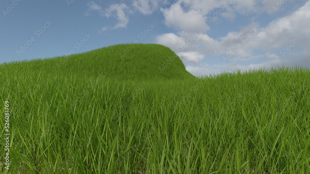 Beautiful green grass nature landscape scene 3D rendering wallpaper backgrounds Beautiful green grass nature landscape scene 3D rendering wallpaper backgrounds