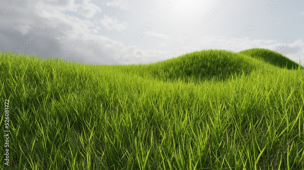 Green grass with blue sky cloudy render 3D nature wallpaper backgrounds Green grass with blue sky cloudy render 3D nature wallpaper backgrounds