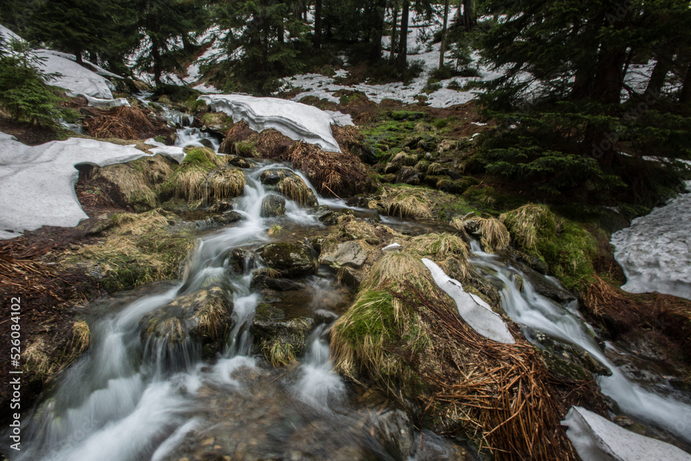 Walk along the water in the national park. Walk along the water in the national park.